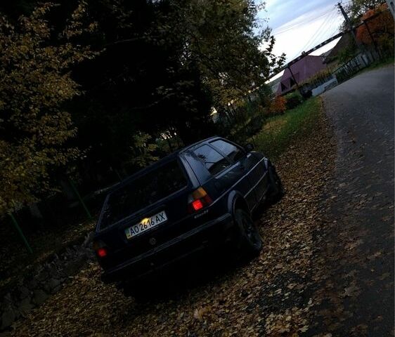 Синий Фольксваген Гольф, объемом двигателя 1.3 л и пробегом 200 тыс. км за 800 $, фото 5 на Automoto.ua