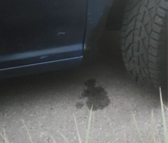 Синий Фольксваген Гольф, объемом двигателя 1.4 л и пробегом 300 тыс. км за 3999 $, фото 12 на Automoto.ua