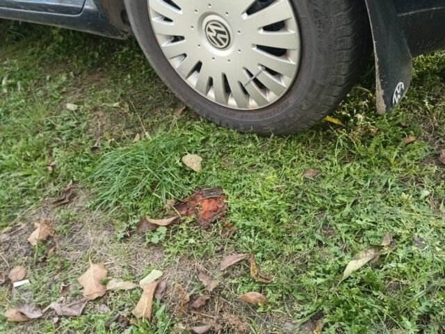 Синий Фольксваген Гольф, объемом двигателя 2 л и пробегом 460 тыс. км за 1700 $, фото 4 на Automoto.ua