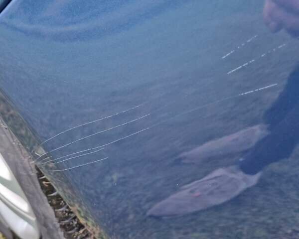 Фольксваген Гольф 2007 в Луцке на Automoto.ua Синий Фольксваген Гольф, объемом двигателя 1.6 л и пробегом 174 тыс. км за 6100 $, фото 43 на Automoto.ua