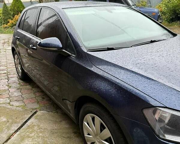 Синій Фольксваген Гольф, об'ємом двигуна 1.6 л та пробігом 237 тис. км за 10700 $, фото 2 на Automoto.ua