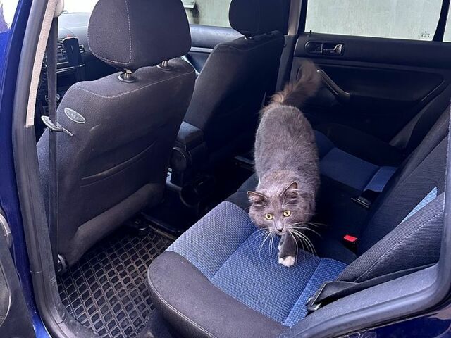 Синий Фольксваген Гольф, объемом двигателя 2 л и пробегом 301 тыс. км за 4400 $, фото 4 на Automoto.ua