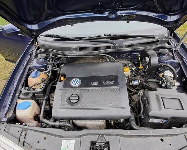 Синий Фольксваген Гольф, объемом двигателя 1.6 л и пробегом 8 тыс. км за 5300 $, фото 6 на Automoto.ua