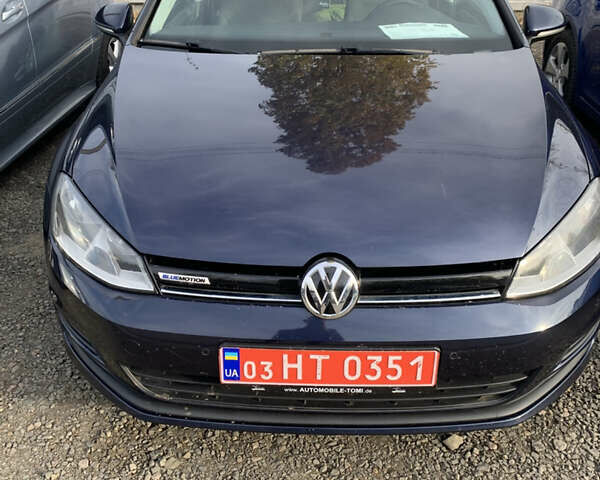 Синий Фольксваген Гольф, объемом двигателя 1.6 л и пробегом 205 тыс. км за 10950 $, фото 2 на Automoto.ua