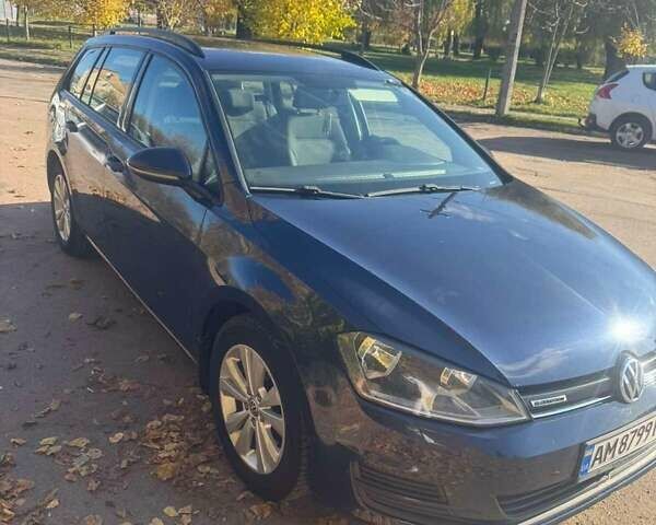 Синий Фольксваген Гольф, объемом двигателя 1.4 л и пробегом 248 тыс. км за 8900 $, фото 2 на Automoto.ua