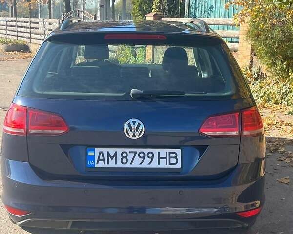 Синий Фольксваген Гольф, объемом двигателя 1.4 л и пробегом 248 тыс. км за 8900 $, фото 6 на Automoto.ua