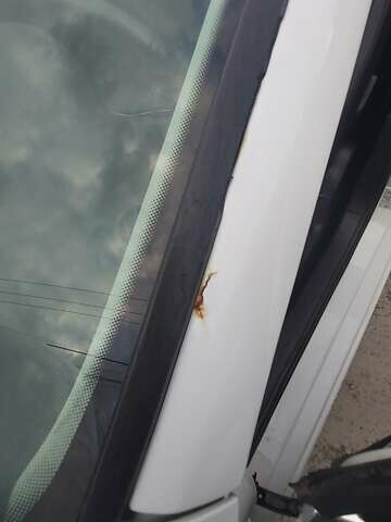 Белый Фольксваген Джетта, объемом двигателя 1.4 л и пробегом 141 тыс. км за 9500 $, фото 34 на Automoto.ua