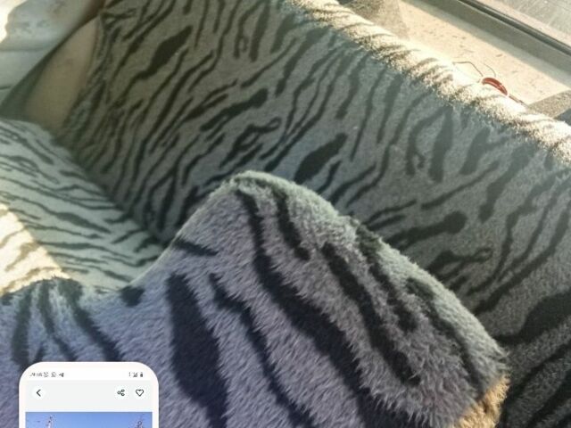 Красный Фольксваген Джетта, объемом двигателя 6 л и пробегом 100 тыс. км за 1050 $, фото 4 на Automoto.ua