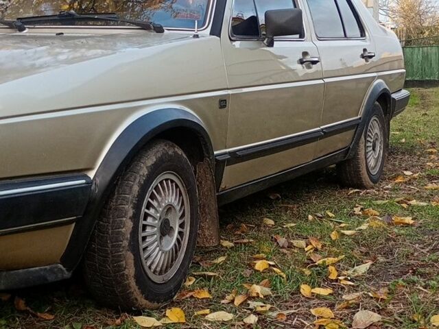 Фольксваген Джетта 1984 в Иваничи на Automoto.ua Серый Фольксваген Джетта, объемом двигателя 0 л и пробегом 340 тыс. км за 1500 $, фото 3 на Automoto.ua