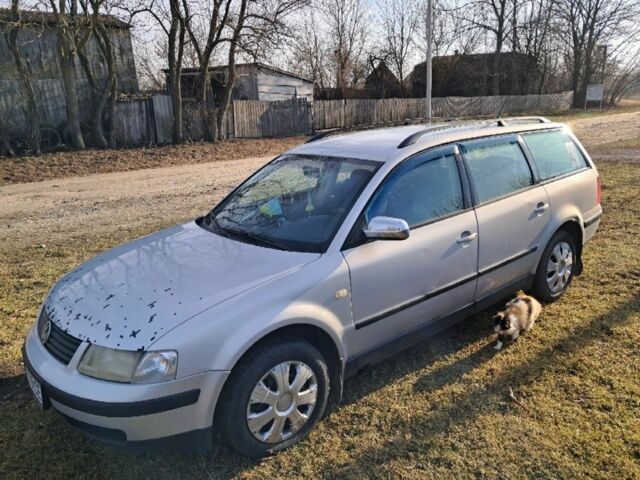 Фольксваген Пассат Варіант 1998 у Бердичеве на Automoto.ua Сірий Фольксваген Пассат Варіант, об'ємом двигуна 1.9 л та пробігом 430 тис. км за 3200 $, фото 1 на Automoto.ua