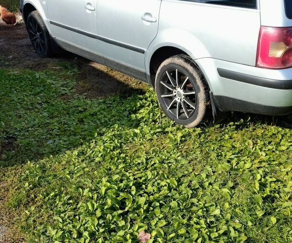 Сірий Фольксваген Пассат Варіант, об'ємом двигуна 0 л та пробігом 150 тис. км за 2700 $, фото 4 на Automoto.ua