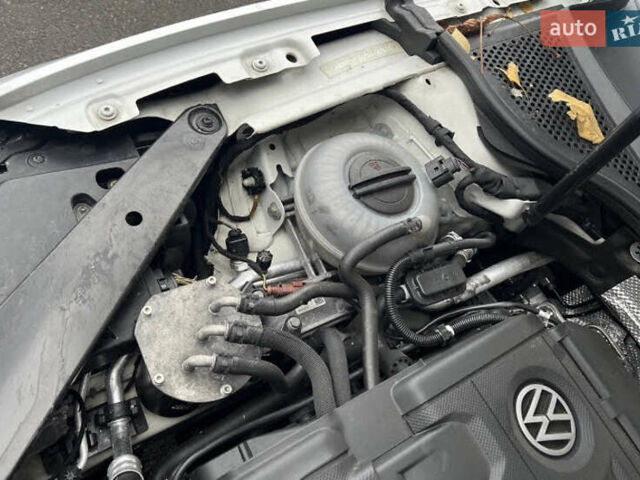 Белый Фольксваген Пассат, объемом двигателя 1.97 л и пробегом 239 тыс. км за 18000 $, фото 16 на Automoto.ua