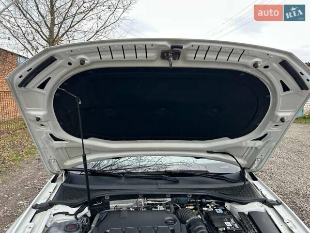 Белый Фольксваген Пассат, объемом двигателя 1.97 л и пробегом 215 тыс. км за 24500 $, фото 51 на Automoto.ua