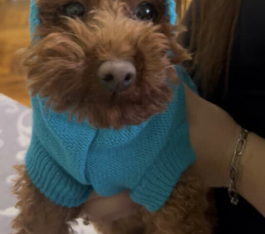 Чорний Фольксваген Пассат, об'ємом двигуна 2.5 л та пробігом 260 тис. км за 9500 $, фото 25 на Automoto.ua