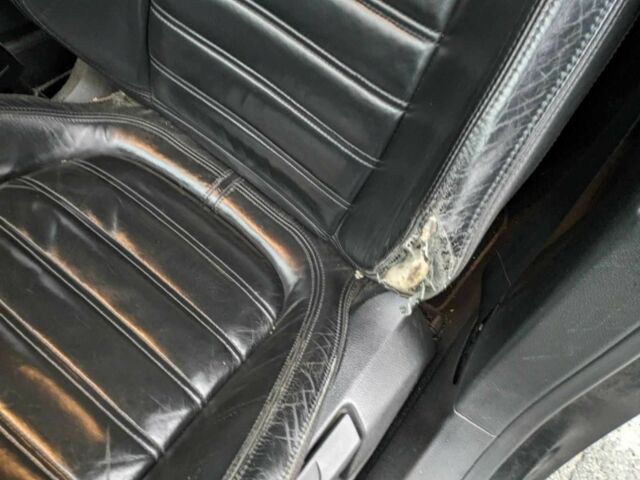 Чорний Фольксваген Пассат, об'ємом двигуна 2 л та пробігом 480 тис. км за 2137 $, фото 11 на Automoto.ua