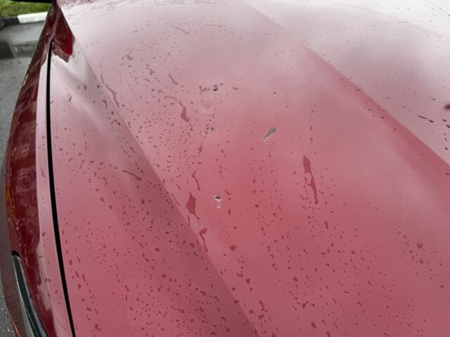 Красный Фольксваген Пассат, объемом двигателя 1.8 л и пробегом 190 тыс. км за 12000 $, фото 5 на Automoto.ua