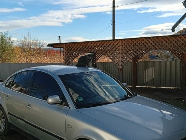 Серый Фольксваген Пассат, объемом двигателя 1 л и пробегом 258 тыс. км за 4100 $, фото 1 на Automoto.ua