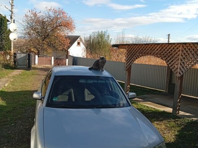 Серый Фольксваген Пассат, объемом двигателя 1 л и пробегом 258 тыс. км за 4100 $, фото 3 на Automoto.ua