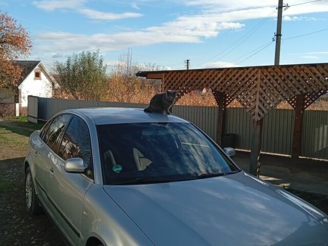 Серый Фольксваген Пассат, объемом двигателя 1 л и пробегом 258 тыс. км за 4100 $, фото 2 на Automoto.ua