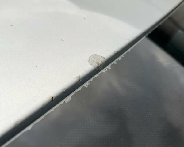 Серый Фольксваген Пассат, объемом двигателя 1.98 л и пробегом 253 тыс. км за 3999 $, фото 46 на Automoto.ua