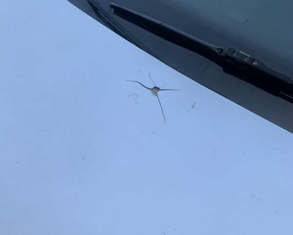 Серый Фольксваген Пассат, объемом двигателя 1.8 л и пробегом 195 тыс. км за 9200 $, фото 17 на Automoto.ua