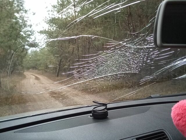 Серый Фольксваген Пассат, объемом двигателя 2 л и пробегом 250 тыс. км за 4400 $, фото 11 на Automoto.ua