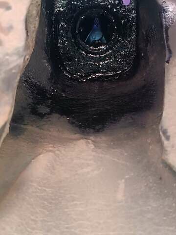 Синий Фольксваген Пассат, объемом двигателя 1.8 л и пробегом 435 тыс. км за 2199 $, фото 30 на Automoto.ua