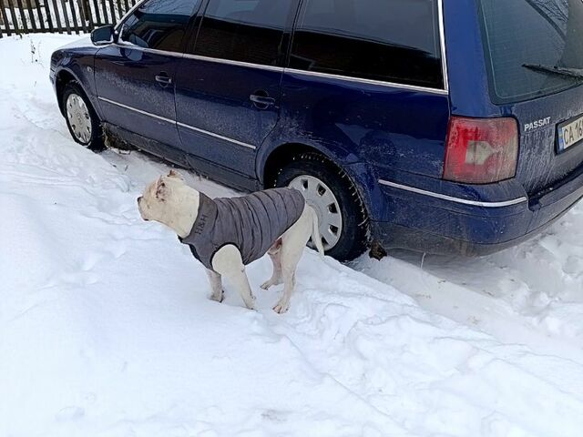 Синий Фольксваген Пассат, объемом двигателя 1.9 л и пробегом 324 тыс. км за 5300 $, фото 5 на Automoto.ua