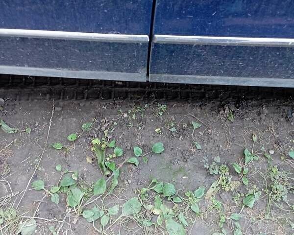 Фольксваген Пассат 2006 в Песчанке на Automoto.ua Синий Фольксваген Пассат, объемом двигателя 2 л и пробегом 267 тыс. км за 4500 $, фото 4 на Automoto.ua