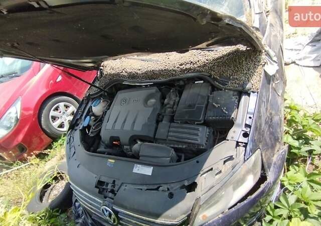 Синий Фольксваген Пассат, объемом двигателя 1.6 л и пробегом 220 тыс. км за 5800 $, фото 11 на Automoto.ua