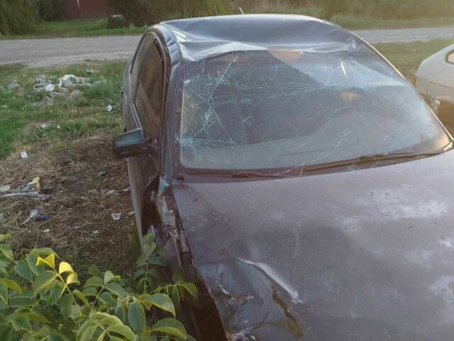 Зелений Фольксваген Пассат, об'ємом двигуна 1.6 л та пробігом 3 тис. км за 1307 $, фото 6 на Automoto.ua