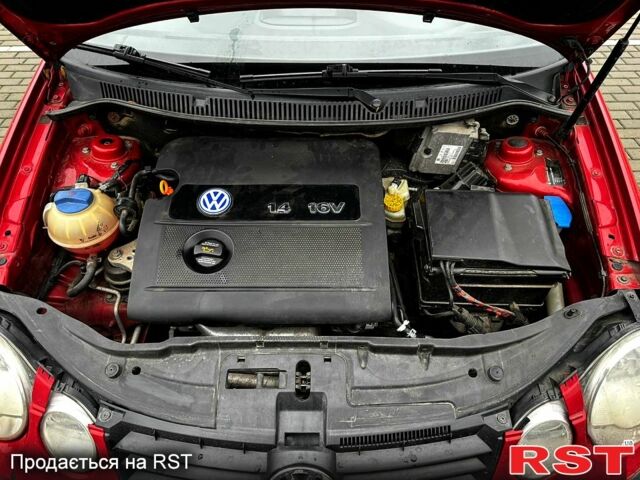Красный Фольксваген Поло, объемом двигателя 1.4 л и пробегом 150 тыс. км за 4100 $, фото 1 на Automoto.ua