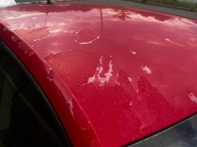 Красный Фольксваген Поло, объемом двигателя 1.4 л и пробегом 290 тыс. км за 2500 $, фото 4 на Automoto.ua