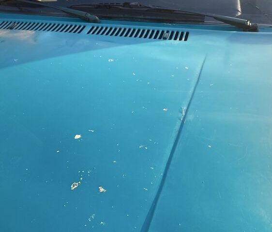 Фольксваген Поло, объемом двигателя 1.4 л и пробегом 2 тыс. км за 1200 $, фото 4 на Automoto.ua