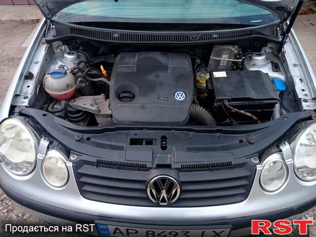 Серый Фольксваген Поло, объемом двигателя 1.2 л и пробегом 220 тыс. км за 3000 $, фото 11 на Automoto.ua