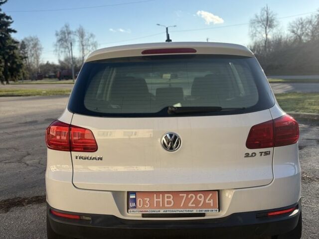 Білий Фольксваген Тігуан, об'ємом двигуна 2 л та пробігом 220 тис. км за 259 $, фото 11 на Automoto.ua