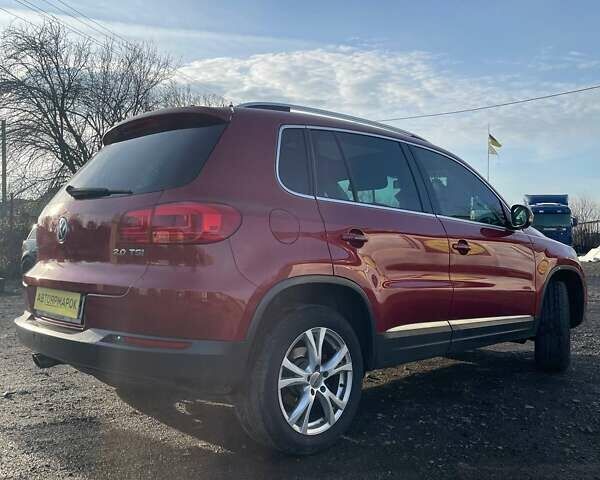 Красный Фольксваген Тигуан, объемом двигателя 1.98 л и пробегом 265 тыс. км за 9990 $, фото 7 на Automoto.ua