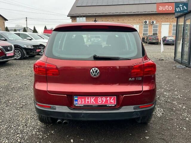 Червоний Фольксваген Тігуан, об'ємом двигуна 2 л та пробігом 142 тис. км за 7900 $, фото 6 на Automoto.ua
