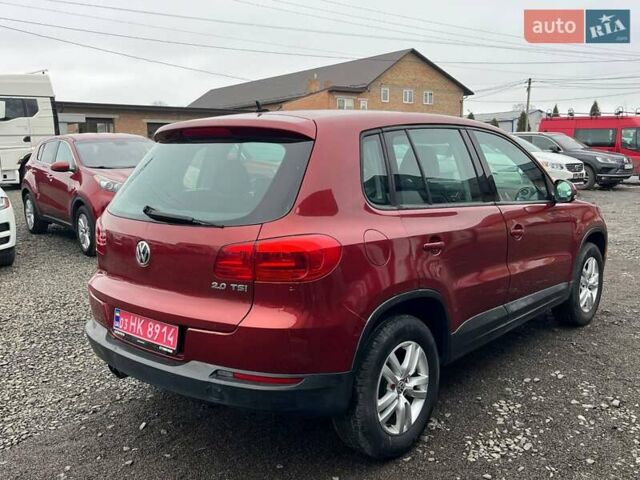 Червоний Фольксваген Тігуан, об'ємом двигуна 2 л та пробігом 142 тис. км за 7900 $, фото 8 на Automoto.ua