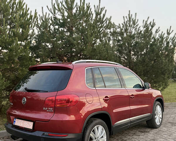 Красный Фольксваген Тигуан, объемом двигателя 0 л и пробегом 211 тыс. км за 13000 $, фото 7 на Automoto.ua