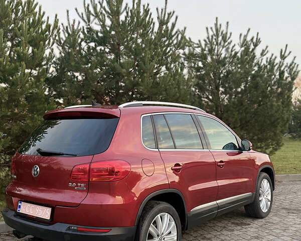 Красный Фольксваген Тигуан, объемом двигателя 0 л и пробегом 211 тыс. км за 13000 $, фото 8 на Automoto.ua