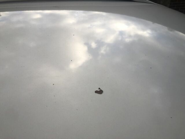 Серый Фольксваген Тигуан, объемом двигателя 2 л и пробегом 134 тыс. км за 11000 $, фото 6 на Automoto.ua