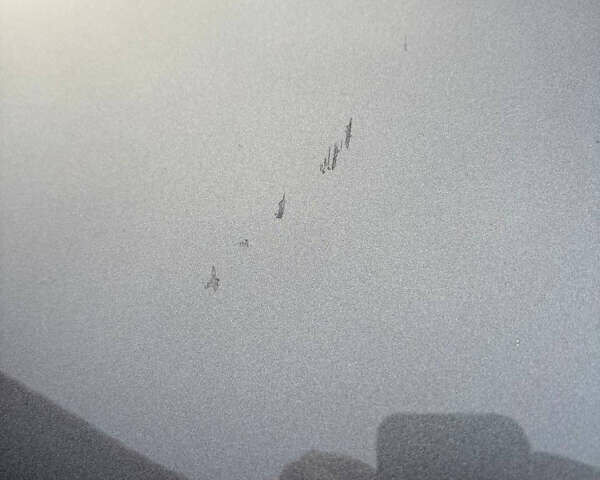 Серый Фольксваген Тигуан, объемом двигателя 2 л и пробегом 17 тыс. км за 30000 $, фото 21 на Automoto.ua