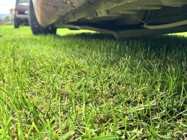 Красный Фольксваген Туран, объемом двигателя 1.6 л и пробегом 260 тыс. км за 6200 $, фото 5 на Automoto.ua