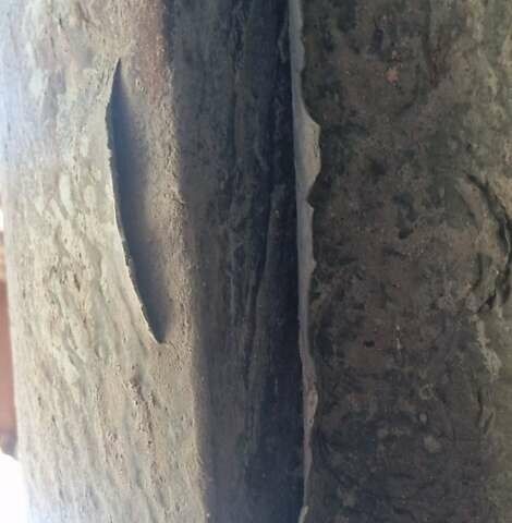 Серый Фольксваген Туран, объемом двигателя 1.97 л и пробегом 325 тыс. км за 14000 $, фото 9 на Automoto.ua