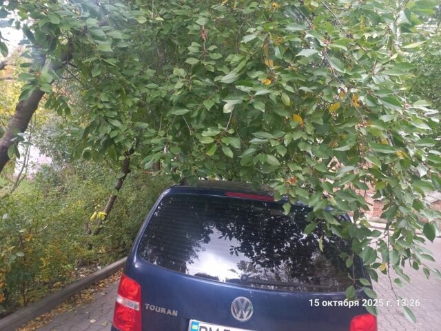 Фольксваген Туран 2005 в Сумах на Automoto.ua Синий Фольксваген Туран, объемом двигателя 1 л и пробегом 250 тыс. км за 6299 $, фото 1 на Automoto.ua