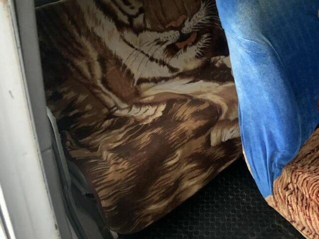 Фольксваген Transporter 1996 в Буче на Automoto.ua Белый Фольксваген Transporter, объемом двигателя 1.9 л и пробегом 350 тыс. км за 4500 $, фото 8 на Automoto.ua