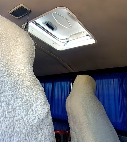 Фольксваген Transporter, объемом двигателя 2.5 л и пробегом 395 тыс. км за 8000 $, фото 3 на Automoto.ua