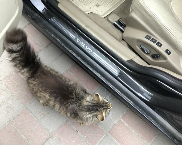 Черный Вольво С80, объемом двигателя 2 л и пробегом 160 тыс. км за 14000 $, фото 23 на Automoto.ua