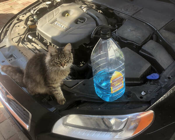 Черный Вольво С80, объемом двигателя 2 л и пробегом 160 тыс. км за 14000 $, фото 9 на Automoto.ua